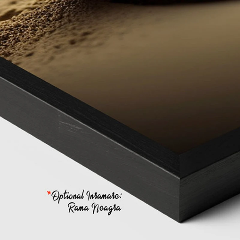 Zen Stones - Tablou floral