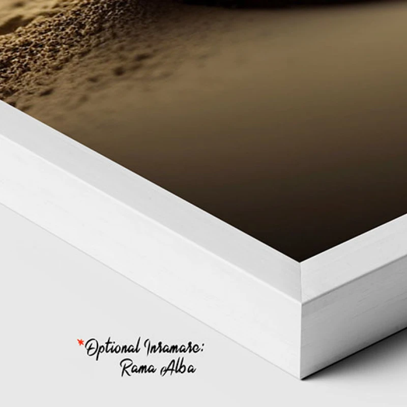 Zen Stones - Tablou floral