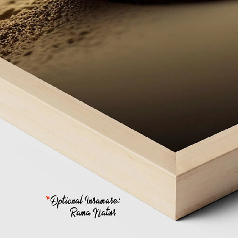 Zen Stones - Tablou floral