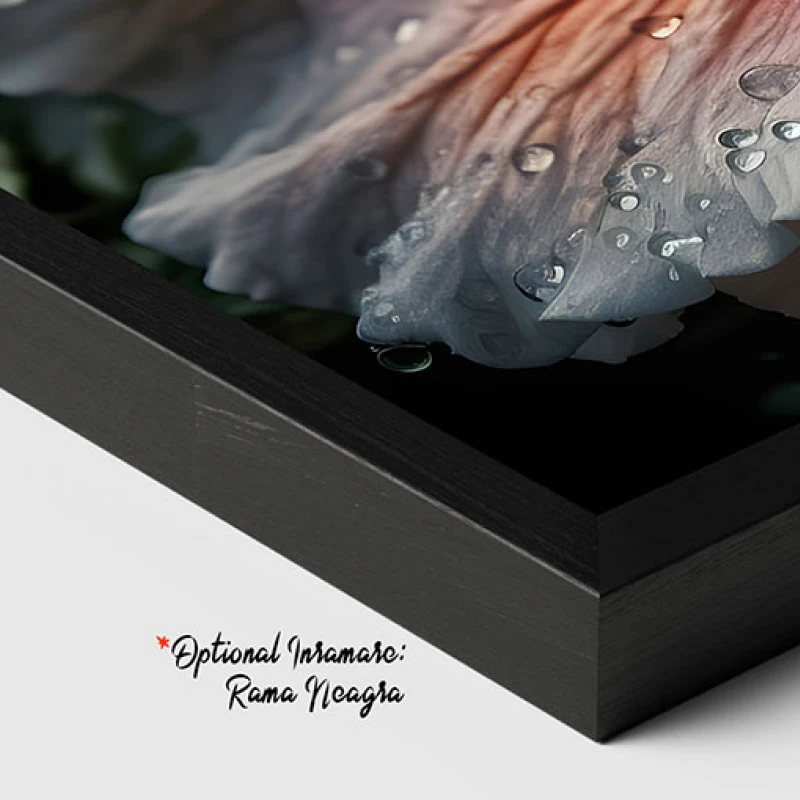 Roua Diminetii - Tablou cu flori