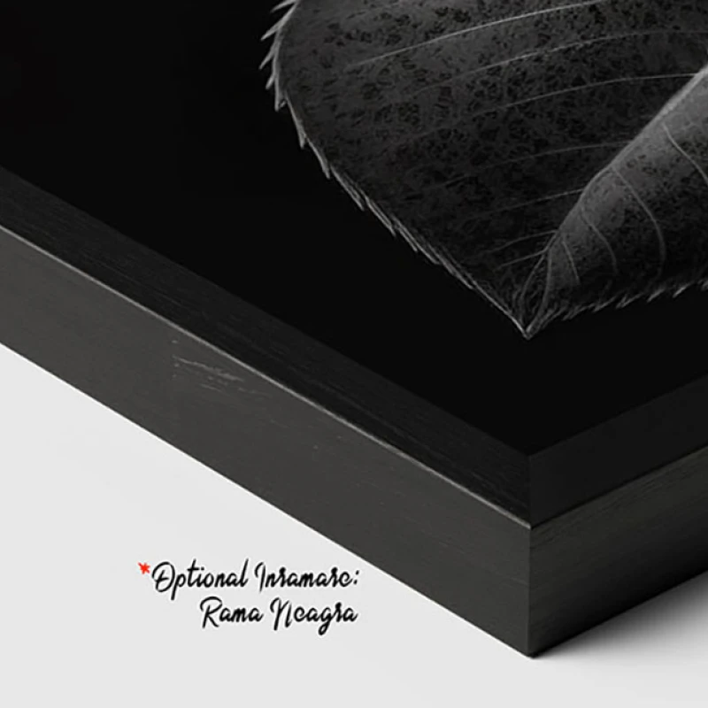 Tablou Modern Alb-Negru - Trandafirul Negru, Minimalist și Rafinat