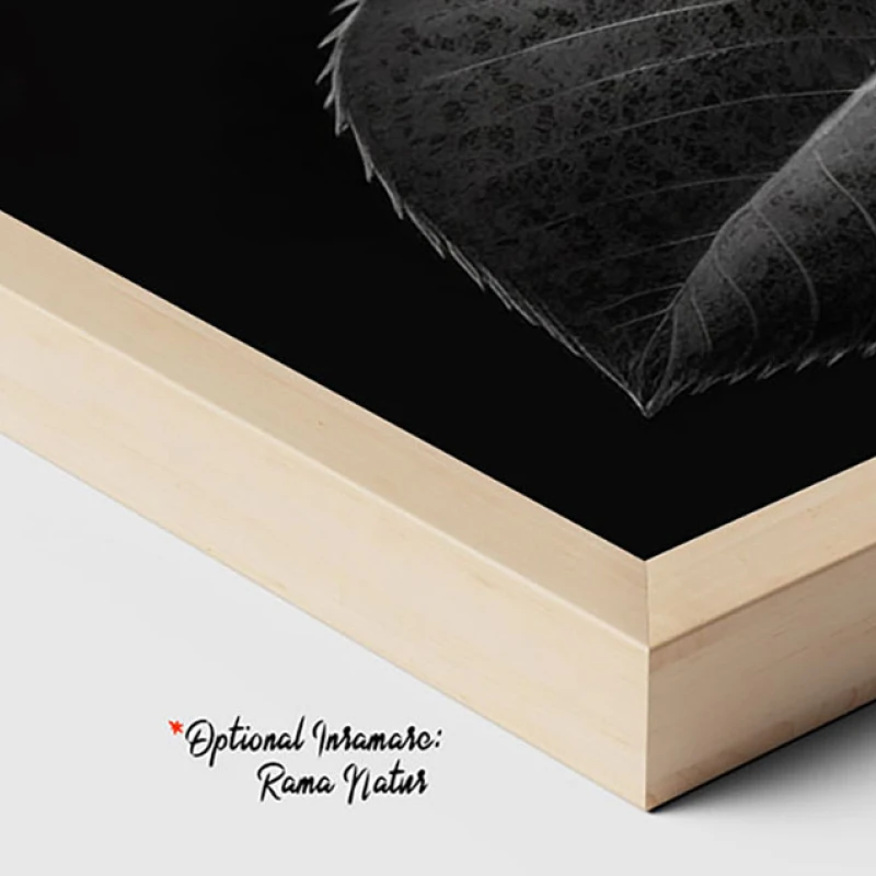 Tablou Modern Alb-Negru - Trandafirul Negru, Minimalist și Rafinat