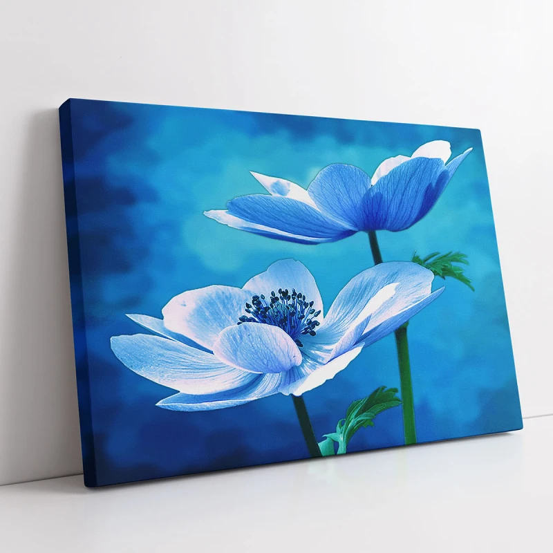 Anemone Albastre - Tablou cu flori Anemone Albastre - Tablou cu flori