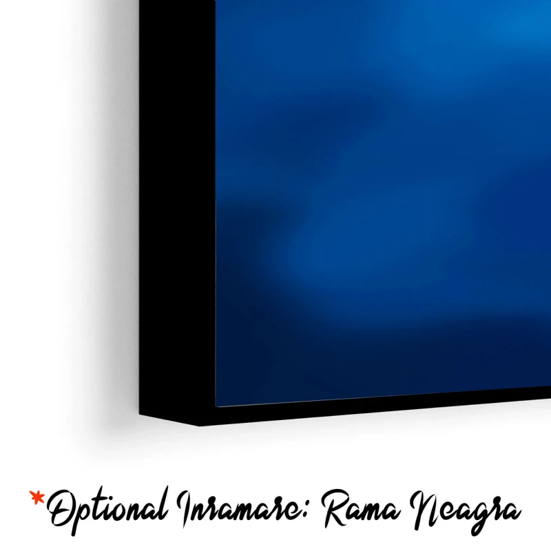 Anemone Albastre - Tablou cu flori Anemone Albastre - Tablou cu flori