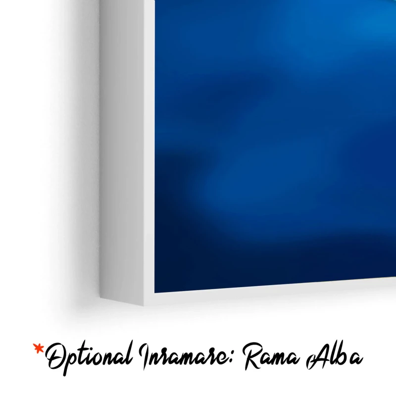 Anemone Albastre - Tablou cu flori Anemone Albastre - Tablou cu flori