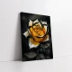 Tablou Elegant cu Trandafiri - Trandafir Regal, Contrast Dramatic Tablou Elegant cu Trandafiri - Trandafir Regal, Contrast Dramatic