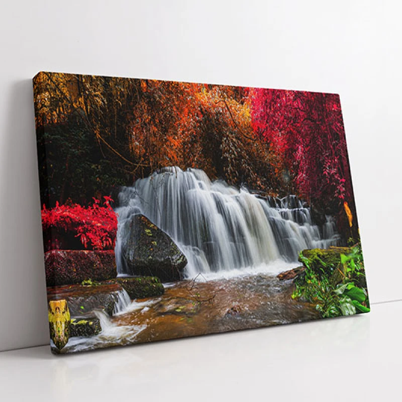 Frunze Multicolore - Tablou peisaj
