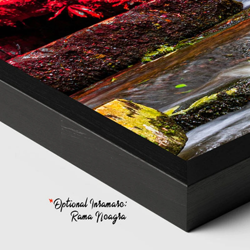 Frunze Multicolore - Tablou peisaj