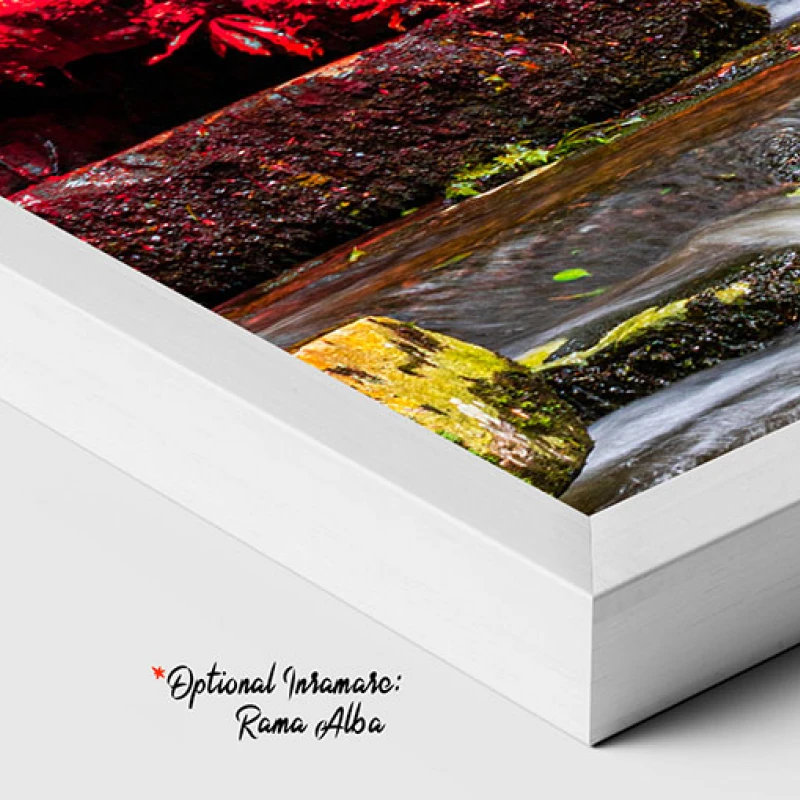Frunze Multicolore - Tablou peisaj