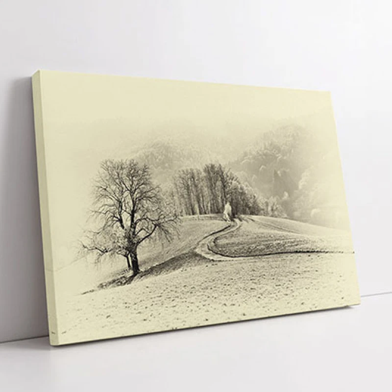 Carari Neumblate - Tablou peisaj