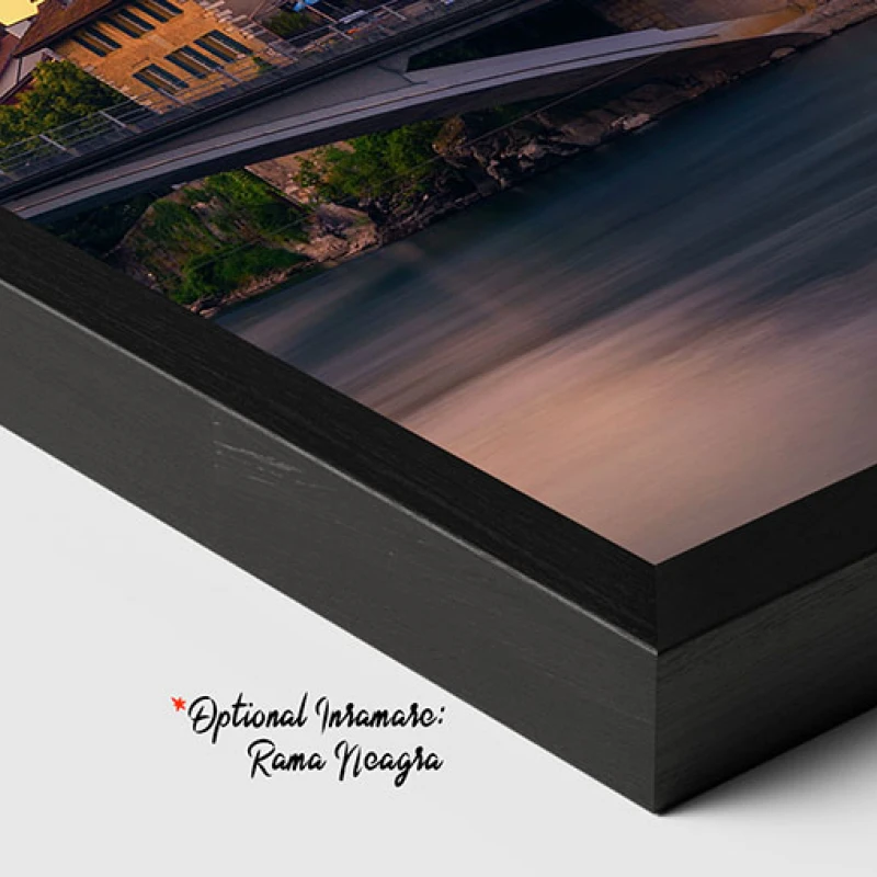 Castelul Aarburg - Tablou peisaj