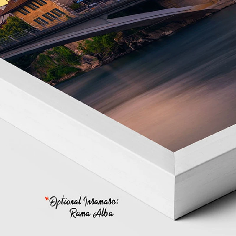 Castelul Aarburg - Tablou peisaj