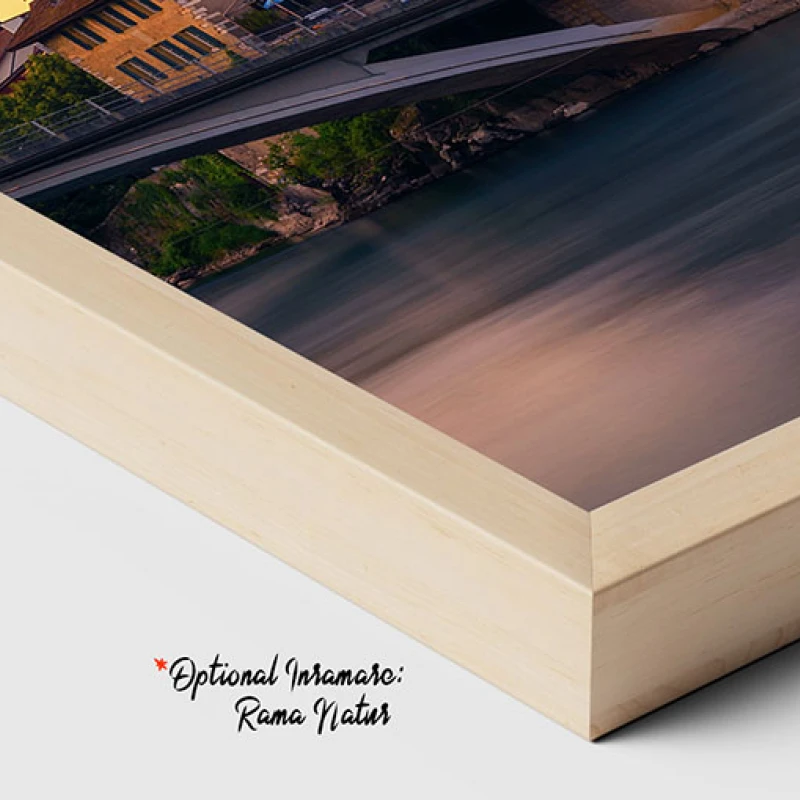 Castelul Aarburg - Tablou peisaj