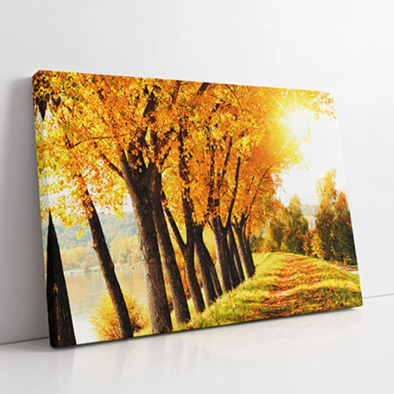 Cand Frunzele Devin Desene - Tablou peisaj