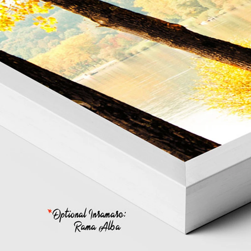 Cand Frunzele Devin Desene - Tablou peisaj