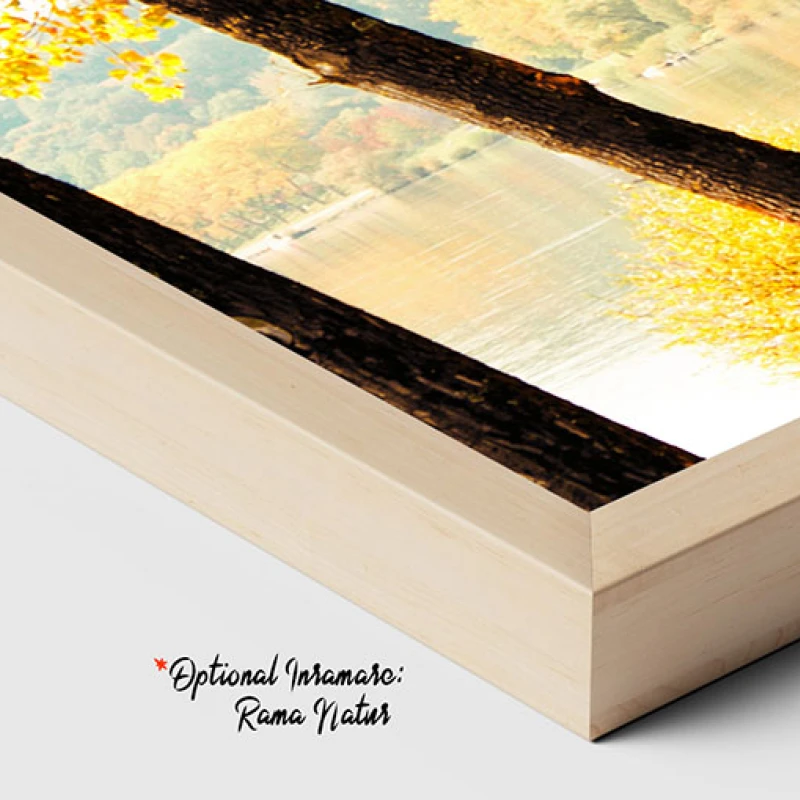 Cand Frunzele Devin Desene - Tablou peisaj