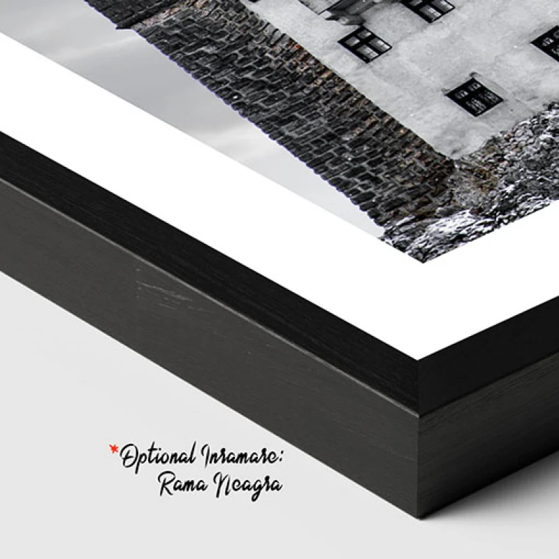 Castelul Bran - Tablou peisaj