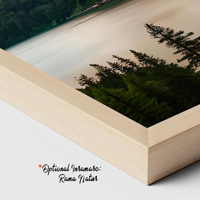 In Asteptarea Ploii - Tablou peisaj