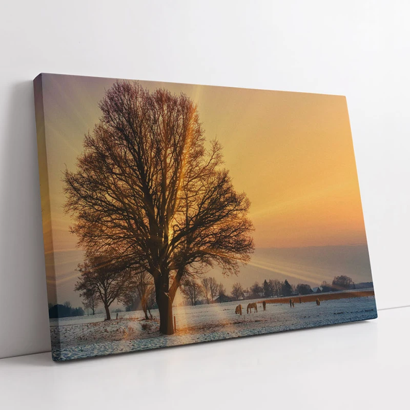 Stralucirea Zorilor - Tablou peisaj