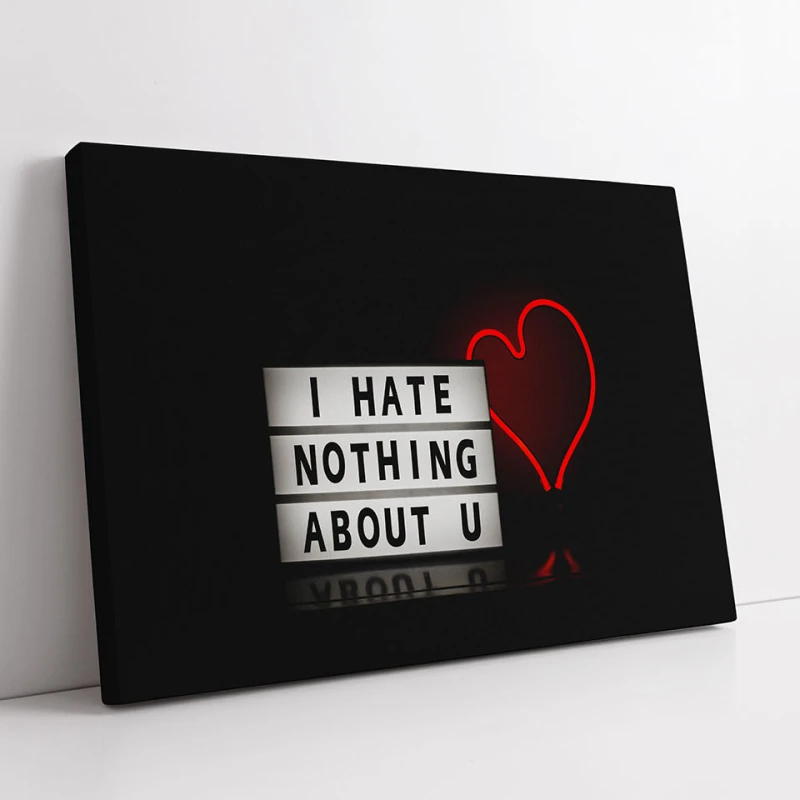 I Hate Nothing - Tablou urban I Hate Nothing - Tablou urban