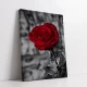 Reflexii de Purpura - Tablou Alb Rosu