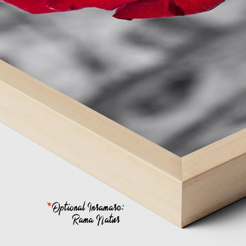 Reflexii de Purpura - Tablou Alb Rosu