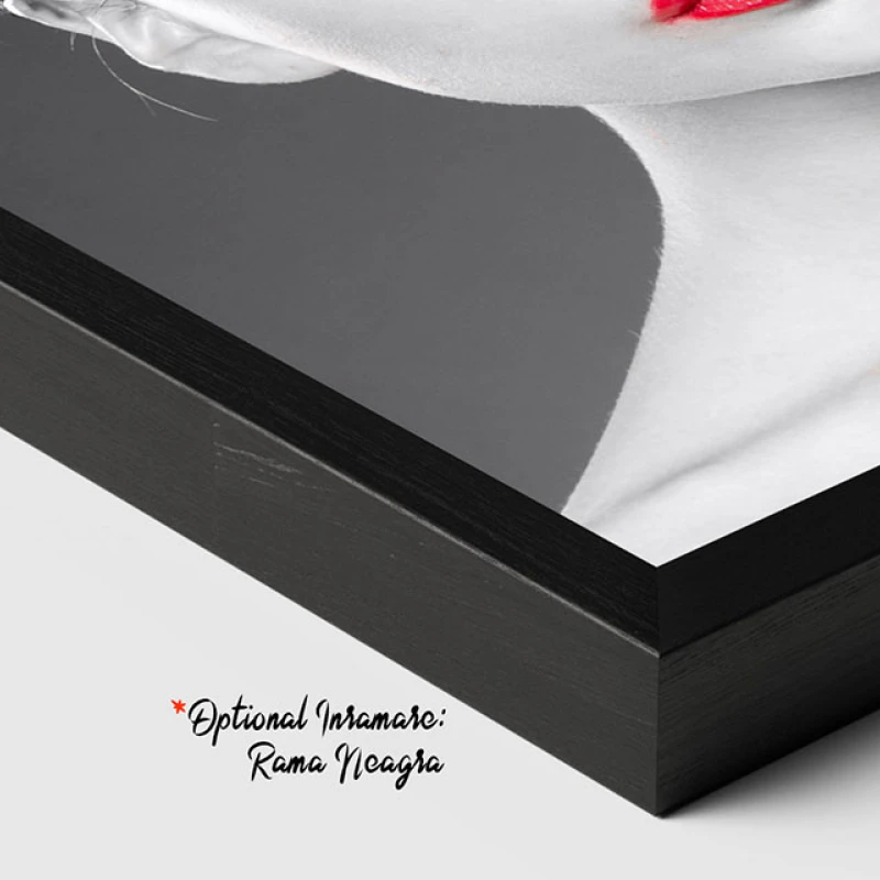 Splendoare în Contrast - Tablou Alb Rosu