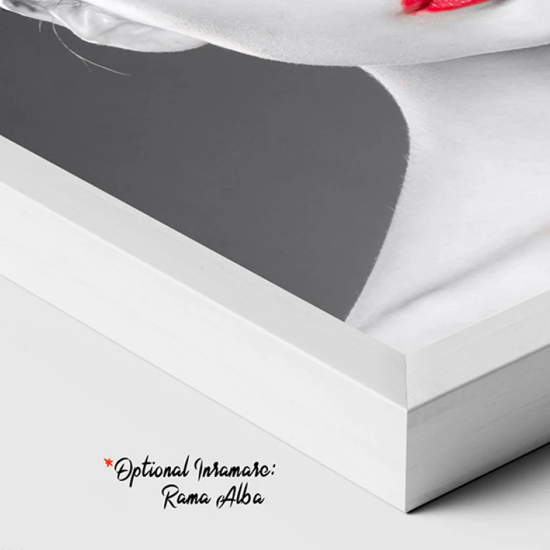 Splendoare în Contrast - Tablou Alb Rosu