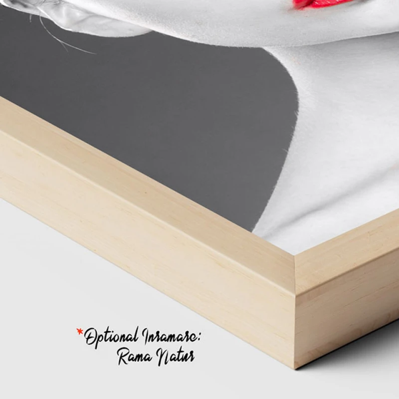 Splendoare în Contrast - Tablou Alb Rosu