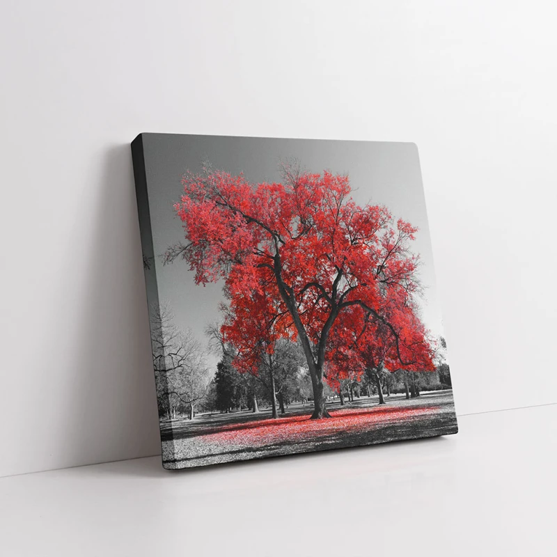 Timeless - Tablou Alb Rosu Timeless - Tablou Alb Rosu