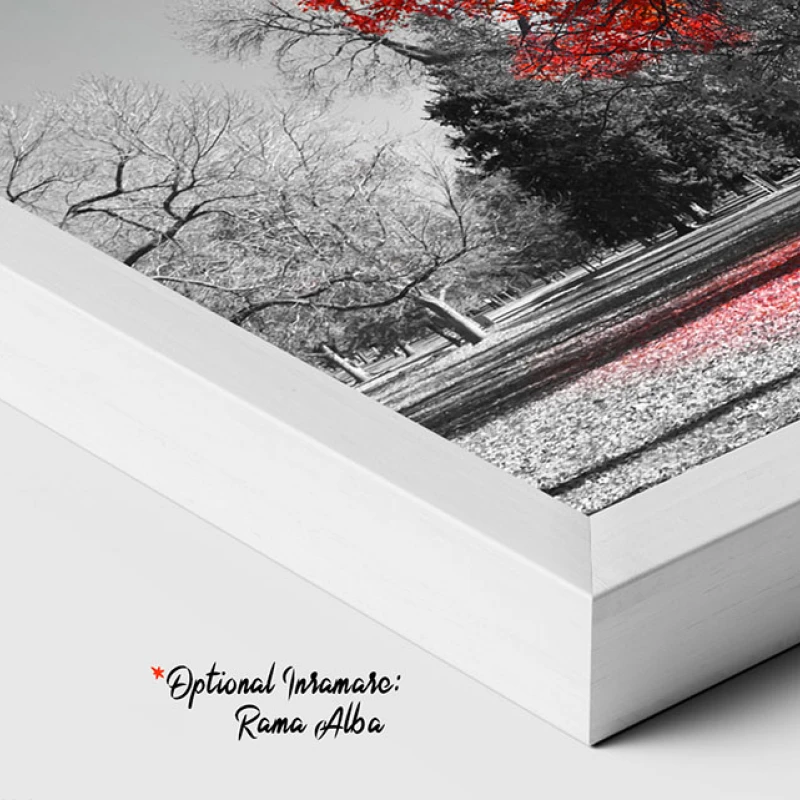 Timeless - Tablou Alb Rosu Timeless - Tablou Alb Rosu