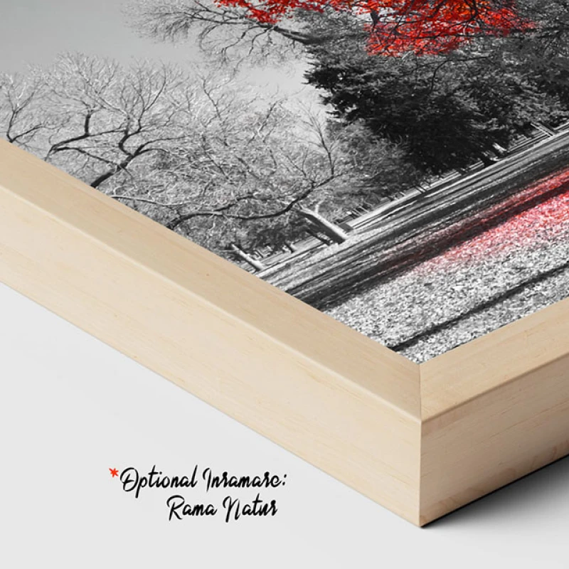 Timeless - Tablou Alb Rosu Timeless - Tablou Alb Rosu