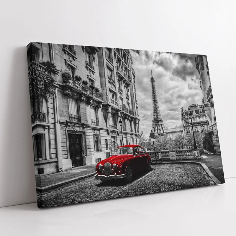 Jaguar la Paris - Tablou Alb Rosu