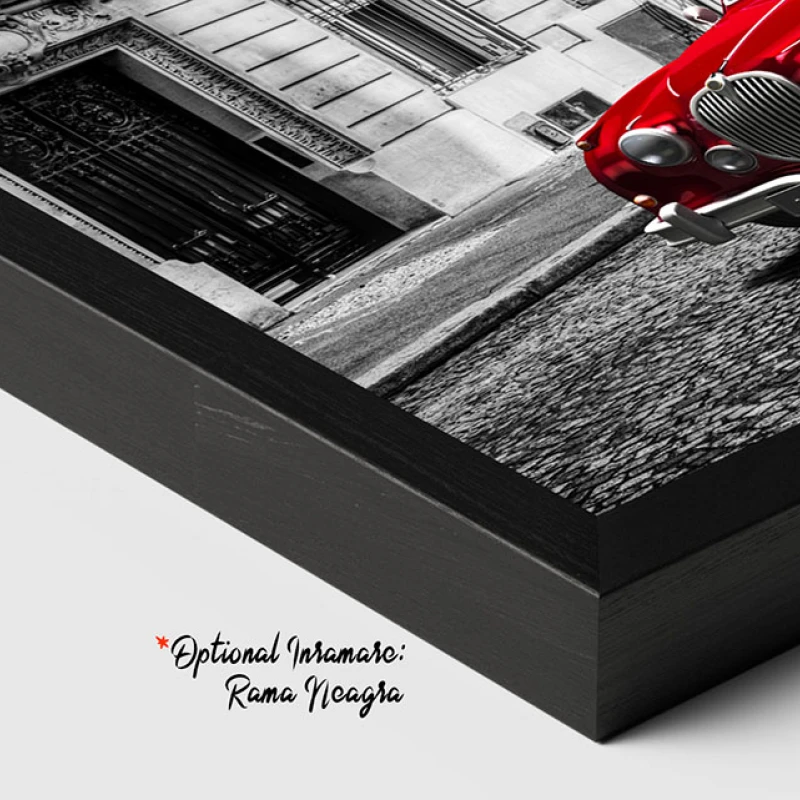 Jaguar la Paris - Tablou Alb Rosu