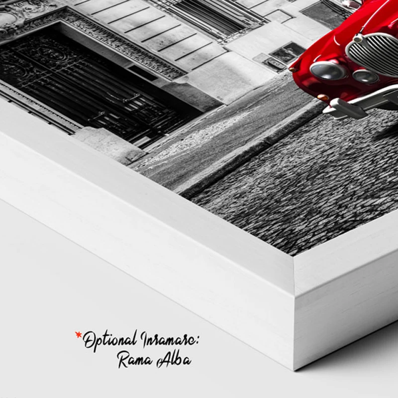 Jaguar la Paris - Tablou Alb Rosu