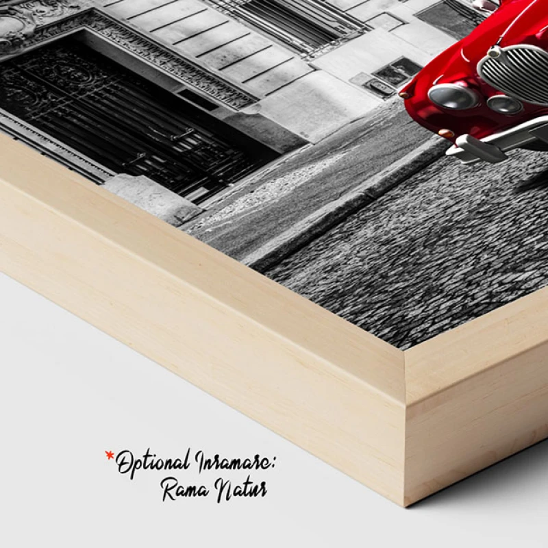 Jaguar la Paris - Tablou Alb Rosu