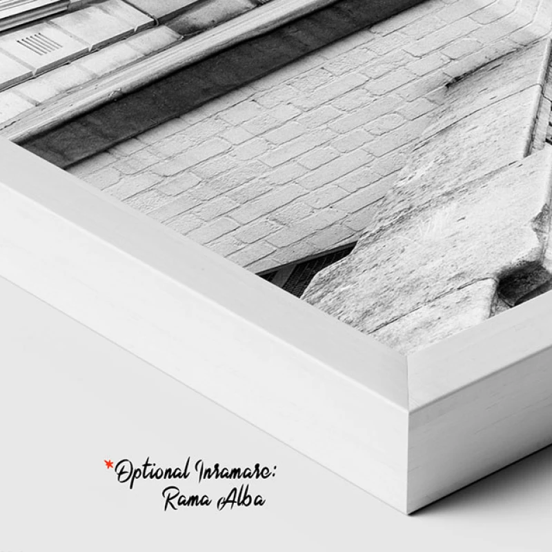 Contrast Britanic - Tablou Alb Rosu