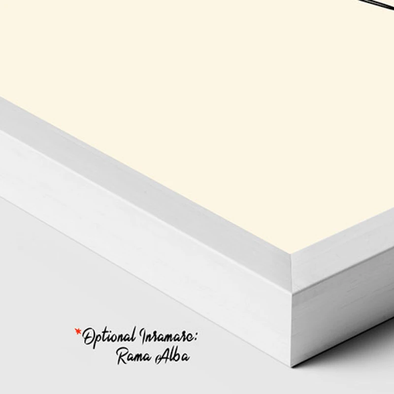 Amprenta Clipei - Tablou One Line Art