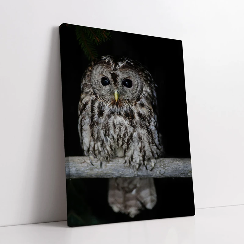 Simbolul Înțelepciunii - Adriana Pana