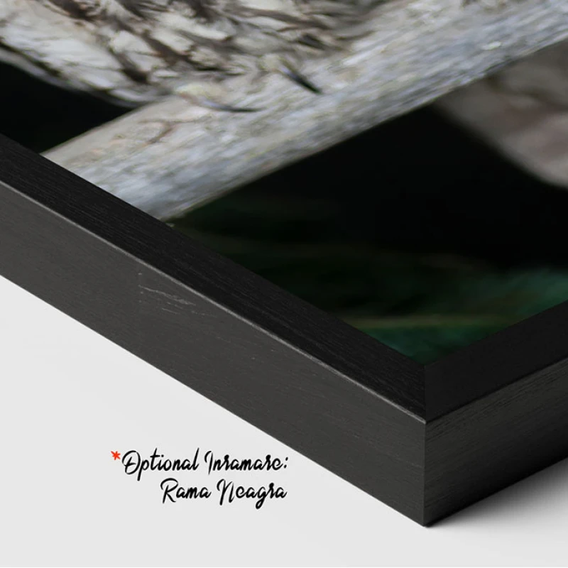 Simbolul Înțelepciunii - Adriana Pana