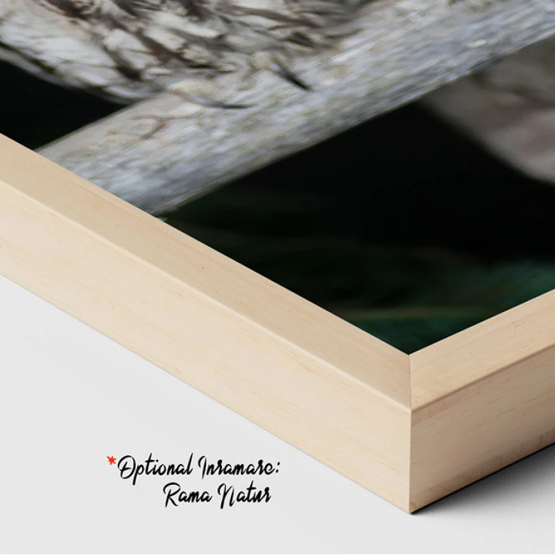 Simbolul Înțelepciunii - Adriana Pana