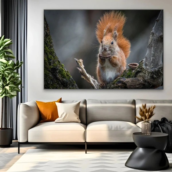 Pomul Bucuriei - Adriana Pana