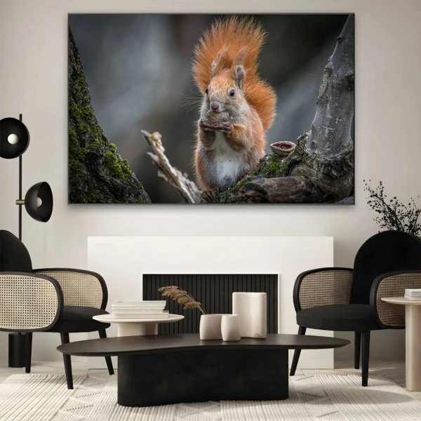 Pomul Bucuriei - Adriana Pana