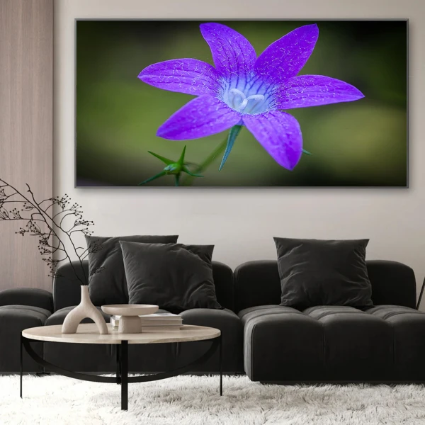 Clopoțel Violet - Adriana Pana