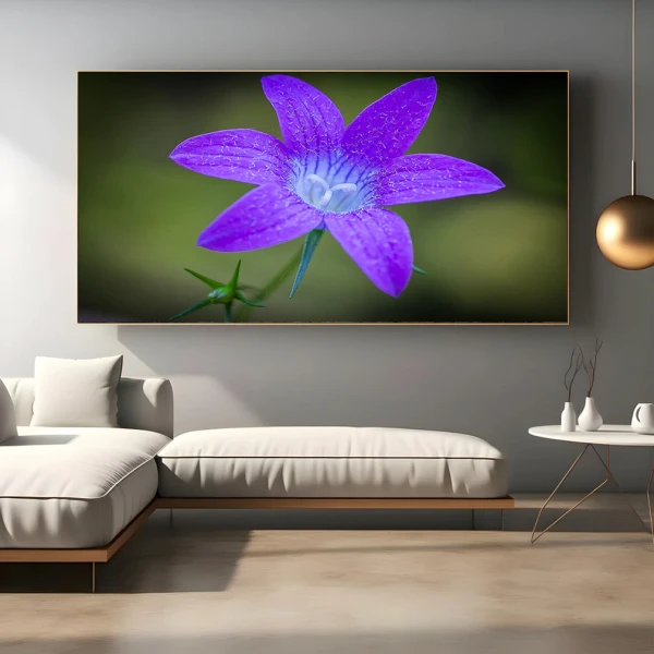 Clopoțel Violet - Adriana Pana