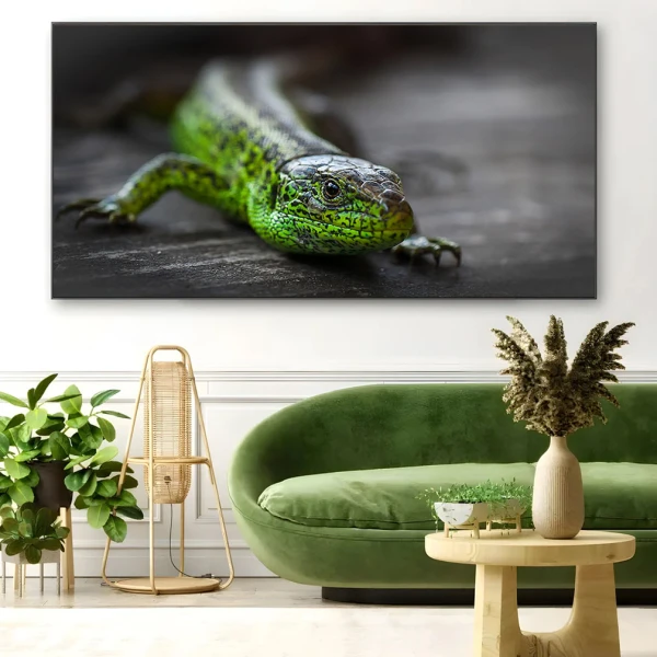 Privire de Smarald - Adriana Pana