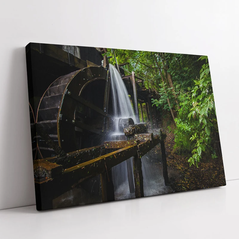 Moara de Apa - Adriana Pana