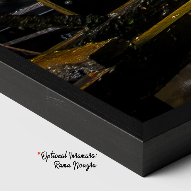 Moara de Apa - Adriana Pana