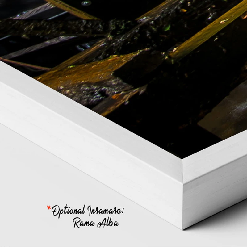 Moara de Apa - Adriana Pana