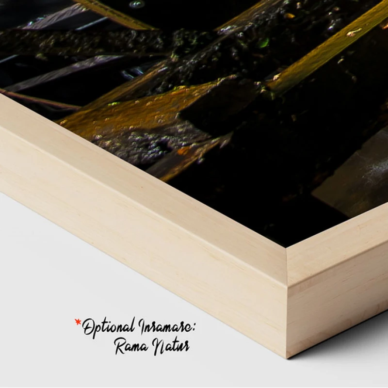 Moara de Apa - Adriana Pana